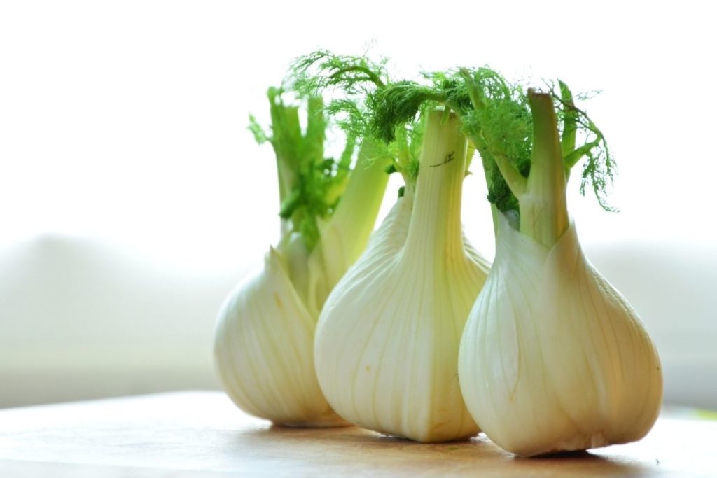 Fennel Bulbs - Pearl Onion Substitute