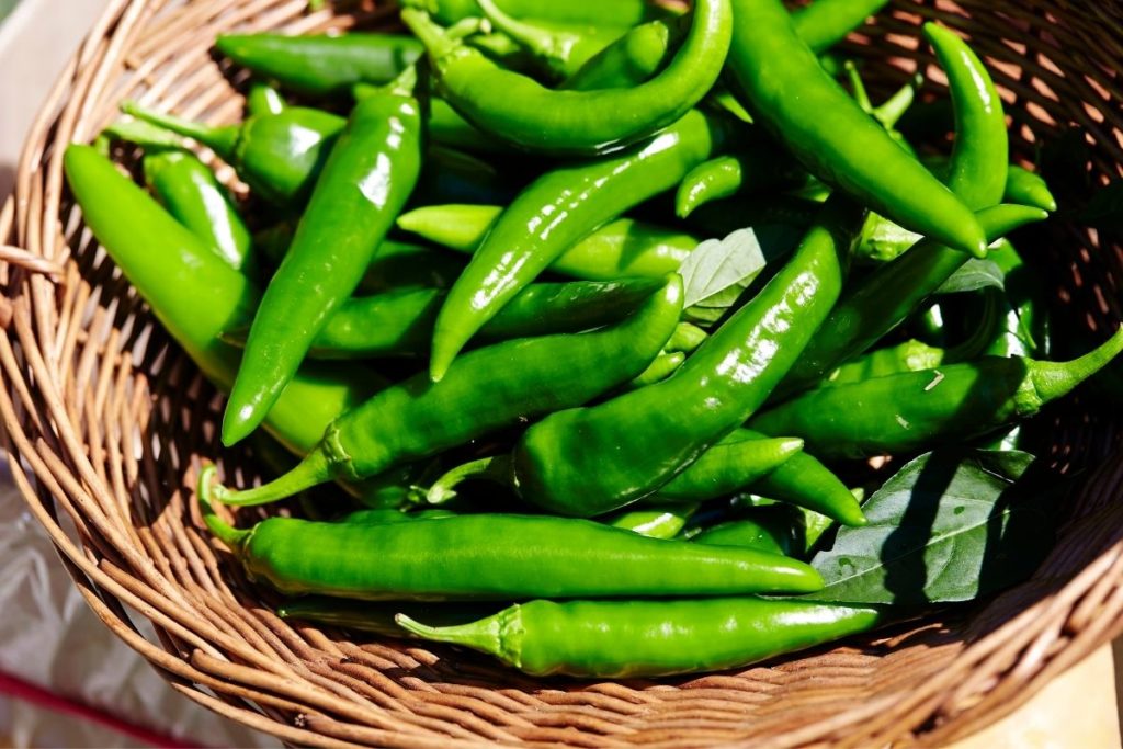 Green Chilies - Best RO-TEL Substitutes 