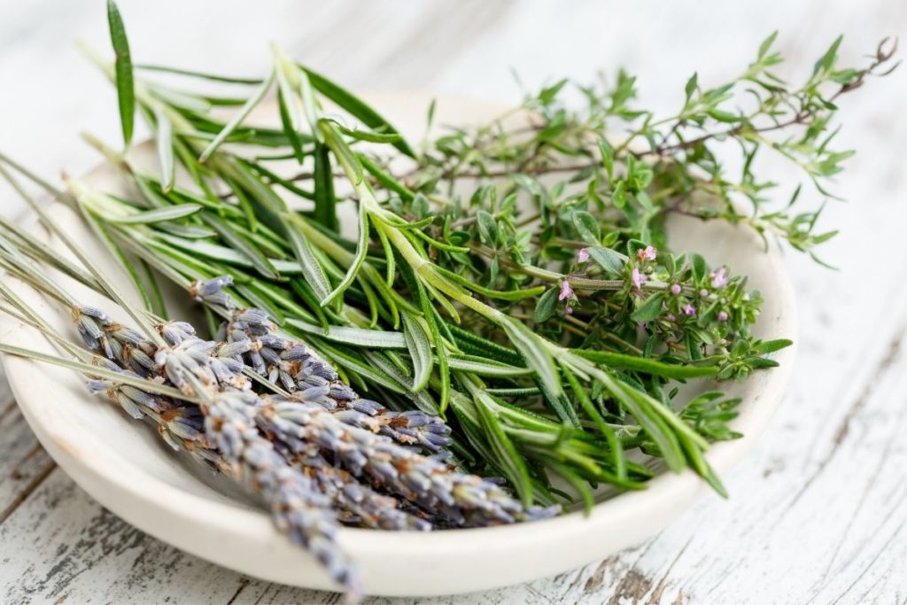 Herbs - Italian Seasoning Substitute