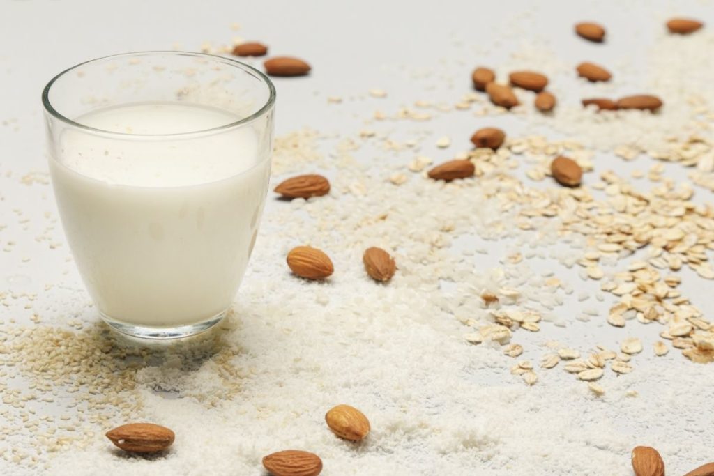 Plant-Based Milk - Coconut Cream Substitute
