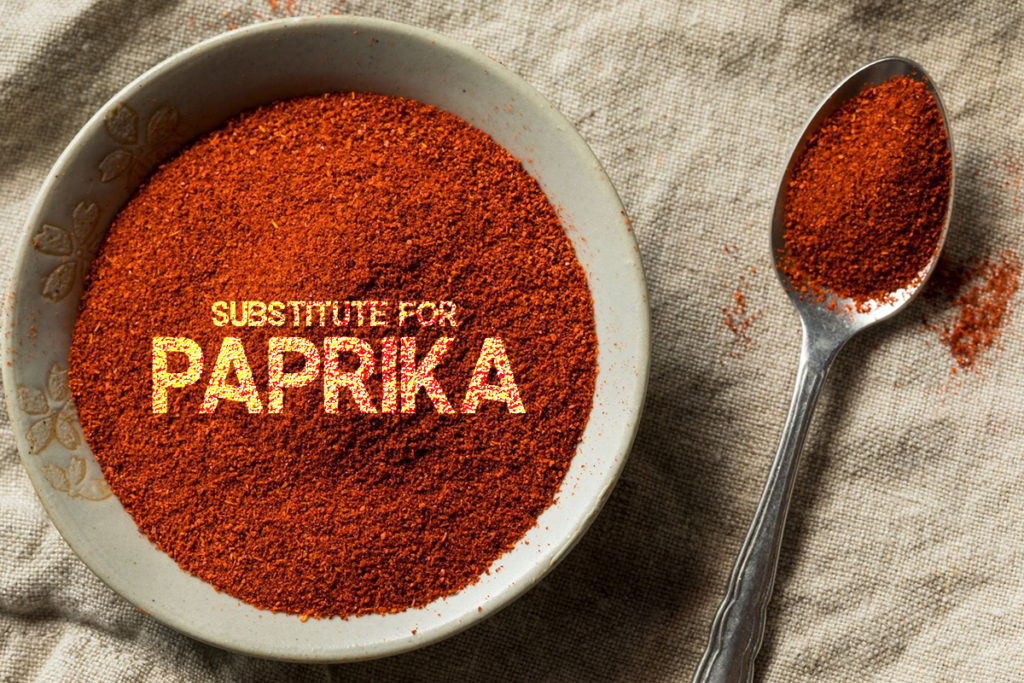Best Substitutes for paprika