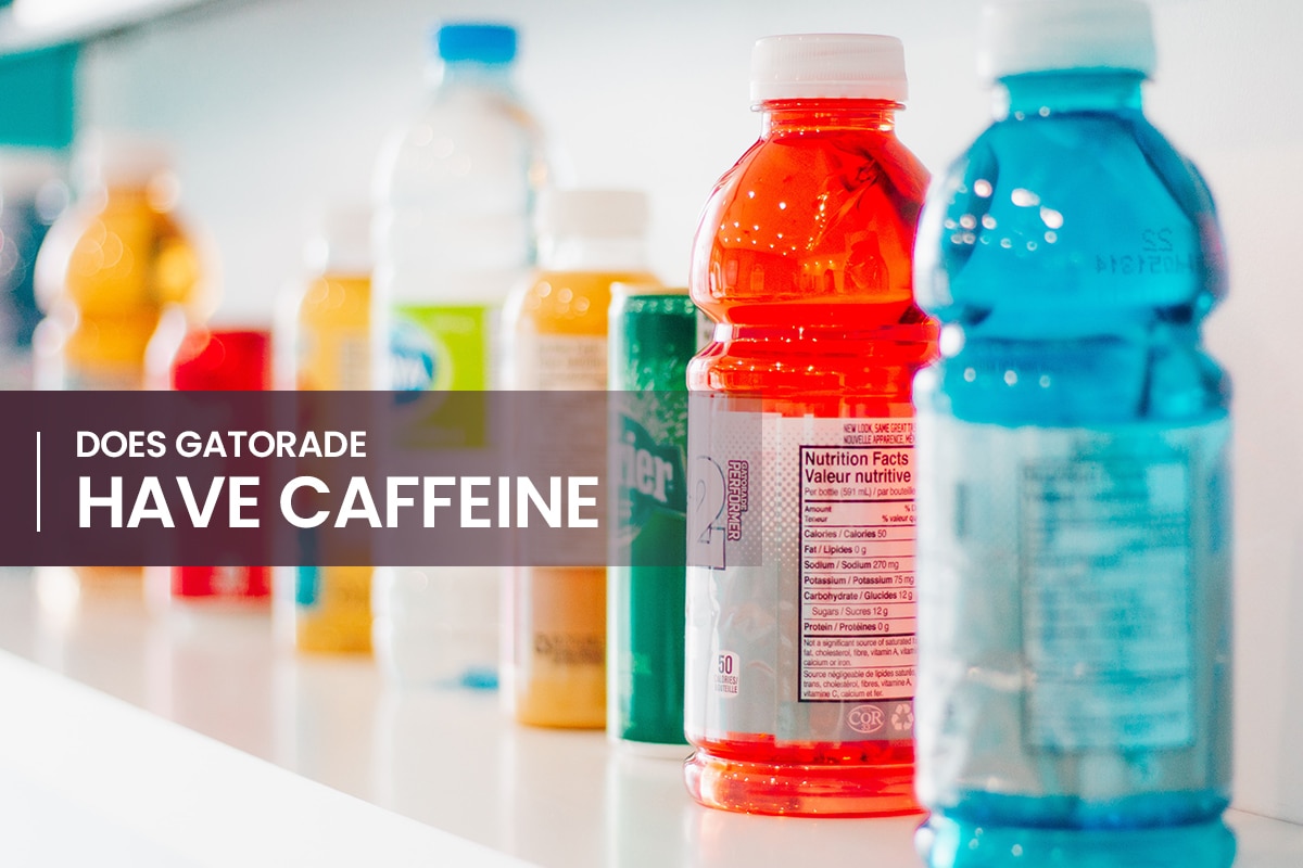 Does Gatorade Have Caffeine Find Out More updated 2023 