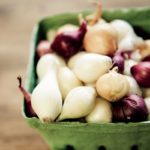 Best Pearl Onion Substitutes