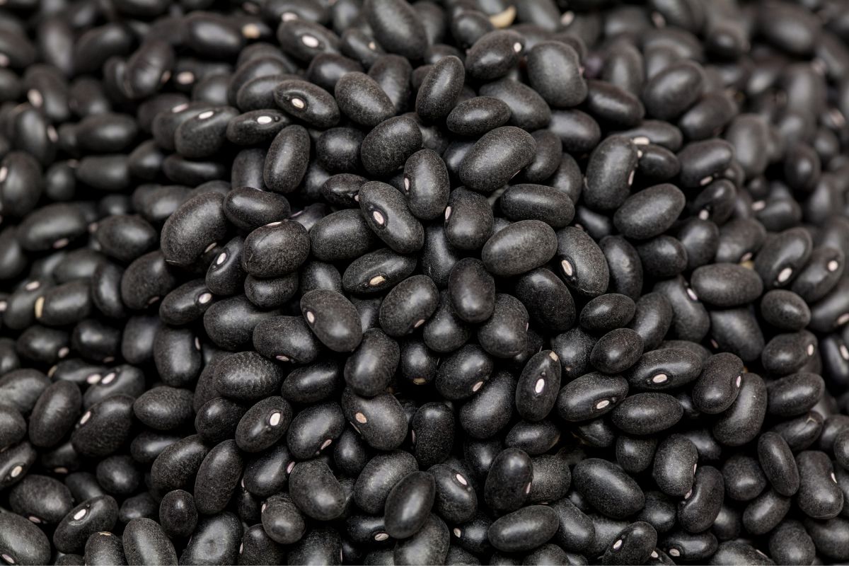 Blacked Beans