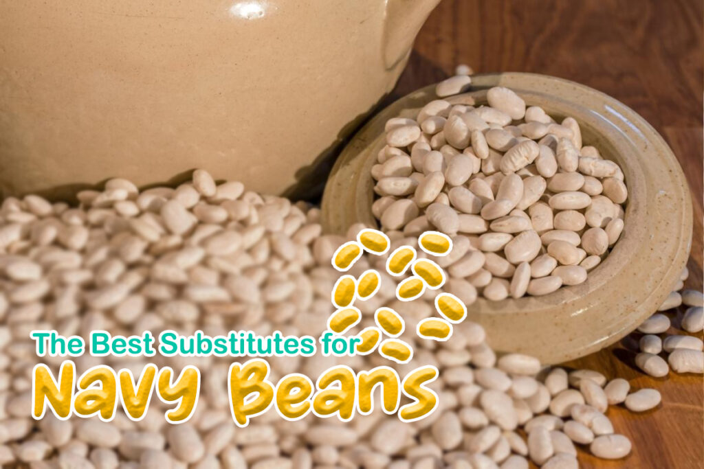 Best Substitutes for Navy Beans