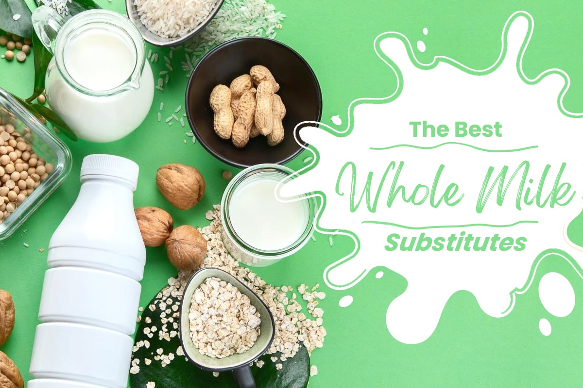 6 Best Whole Milk Substitutes (Updated 2024)