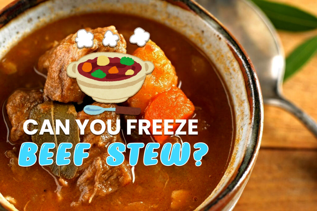 Can You Freeze Beef Stew?