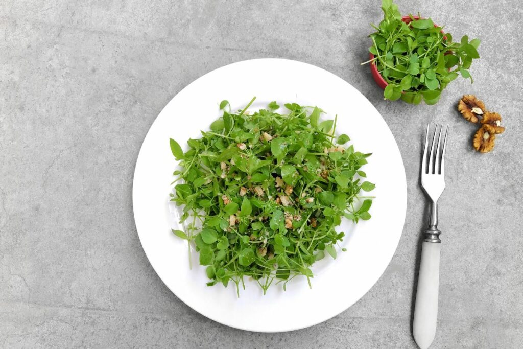 Microgreen Salad - Best Healthy Sides for Pulled Pork