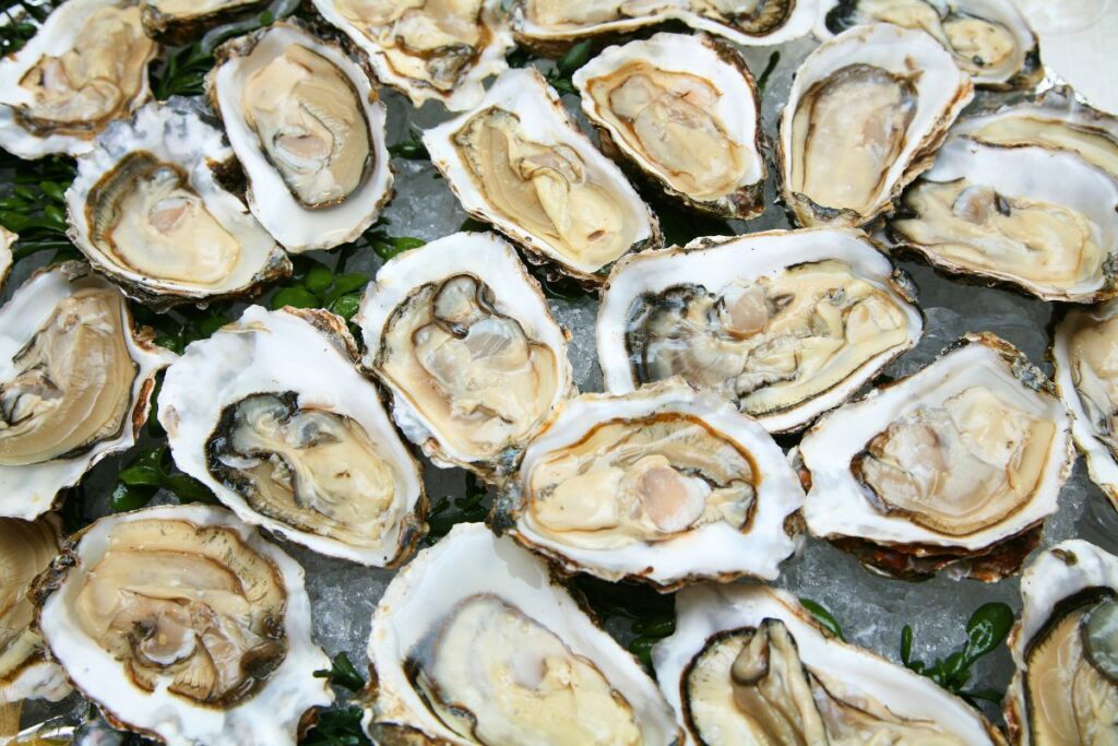 Best Side Dishes for Oysters