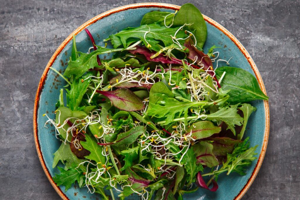Green Salad - What to Serve with Egg Salad Sandwiches