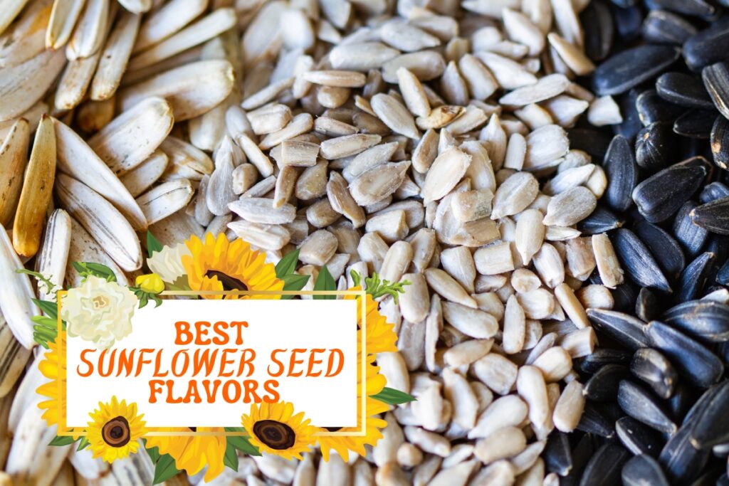 Best Sunflower Seed Flavors