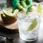 Best Budget Gin