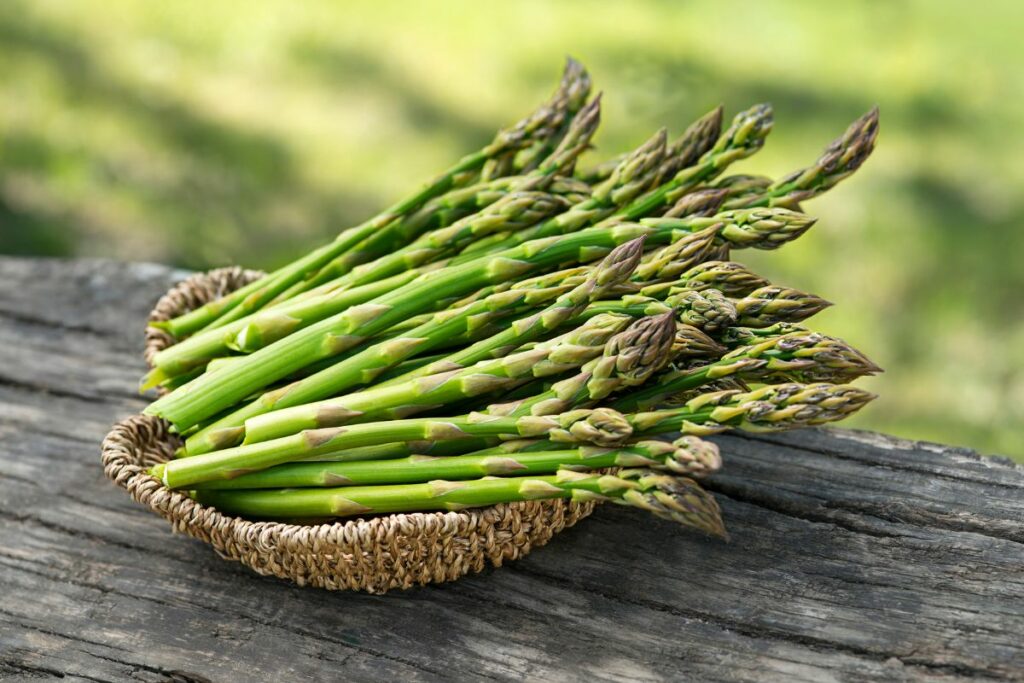 Best Canned Asparagus Recipes