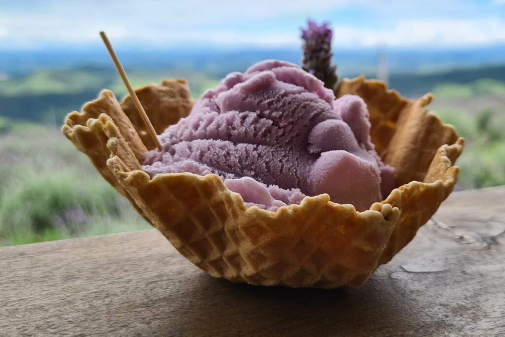 Honey Lavender Ice Cream