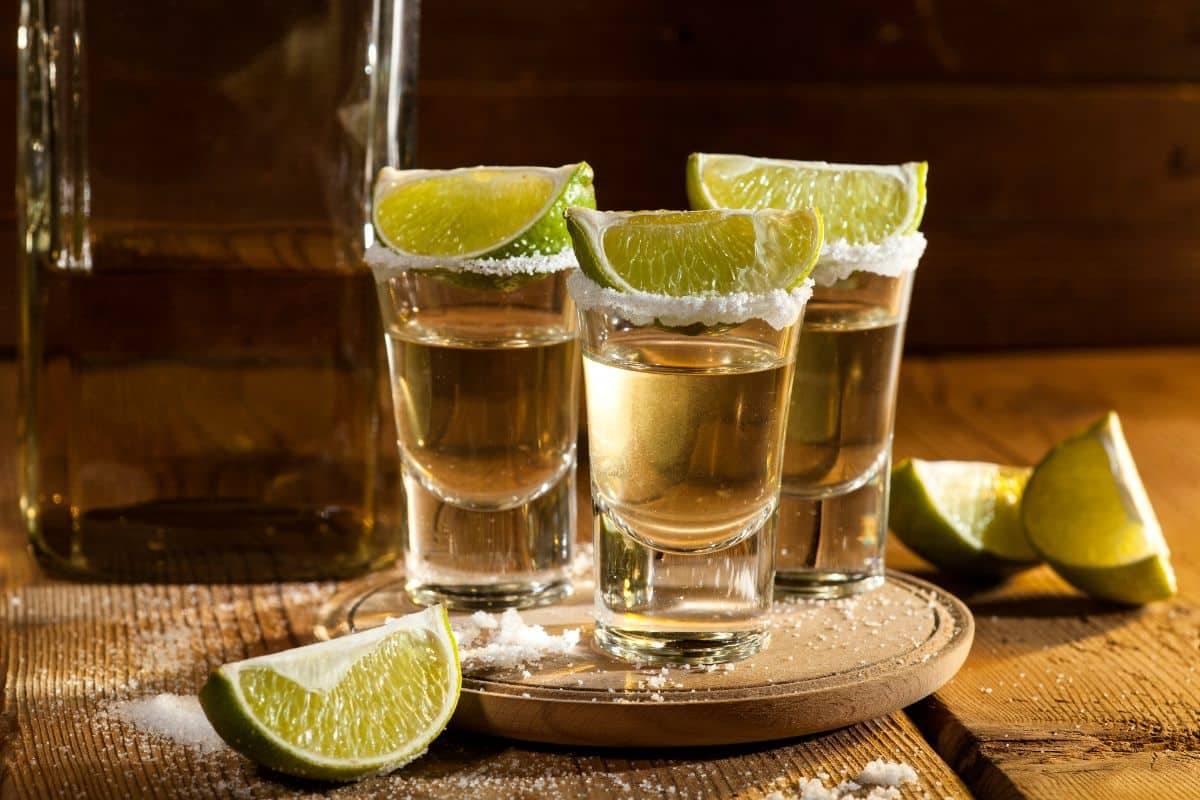 7 Best Cheap Tequila For Shots (Updated 2024)