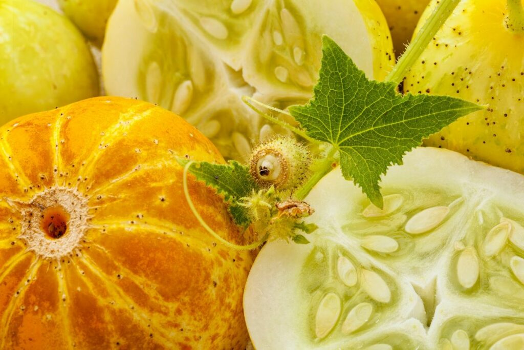 Lemon Cucumbers - Best Lemon Cucumber Recipes