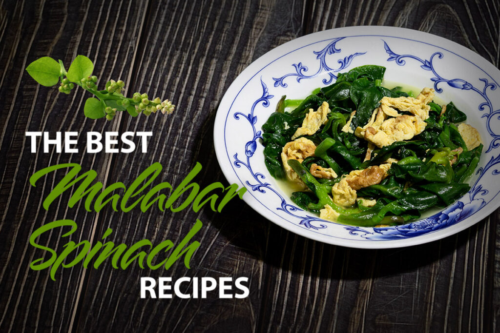 the best malabar spinach recipes featured image