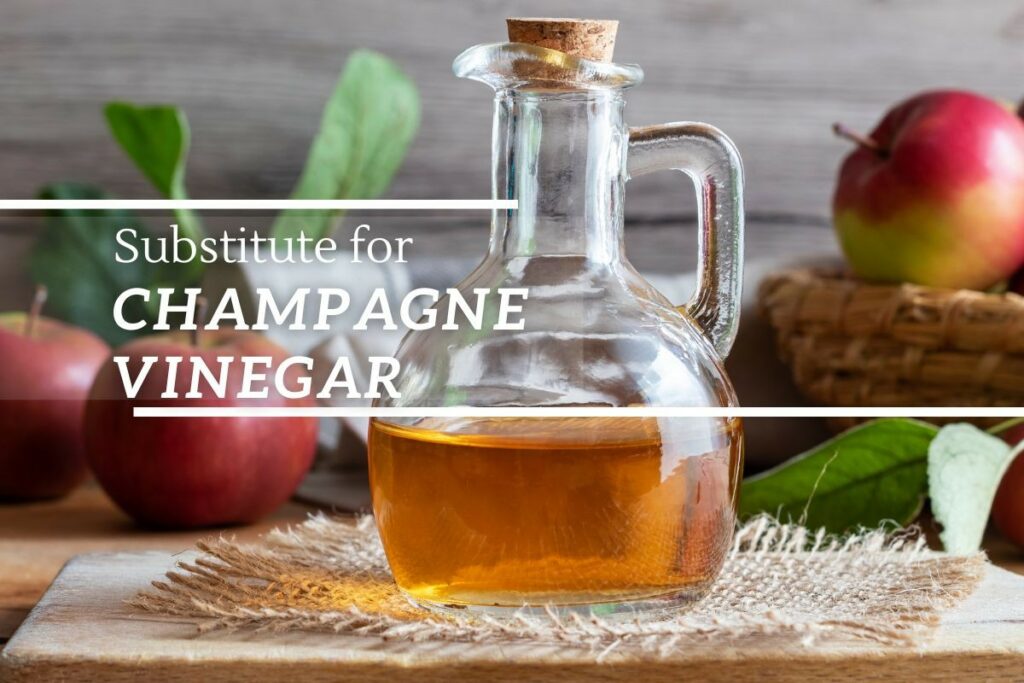 Champagne Vinegar substitutes
