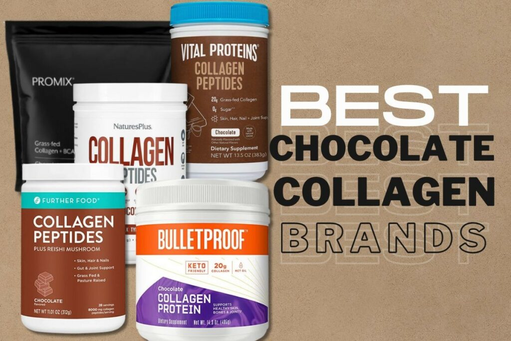 Best Chocolate Collagen Brands