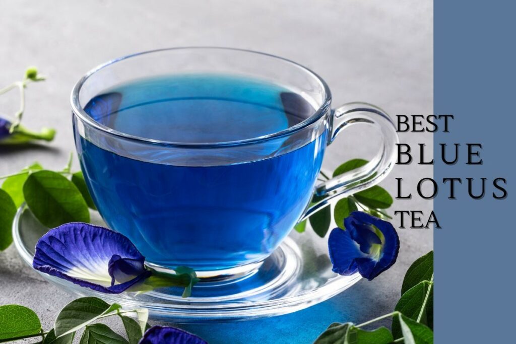 Best Blue Lotus Tea Brands
